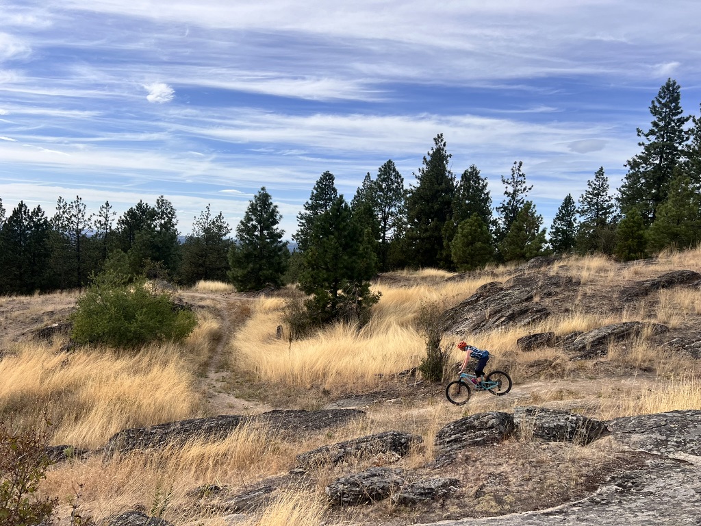17011908-B66B-41E1-B732-4808CC4AD452_1_105_c.jpeg