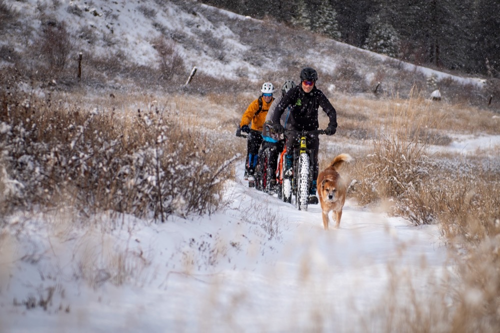 2025-02-10-evergreenfatbike_credit-stephen-mitchell-23-002.jpg