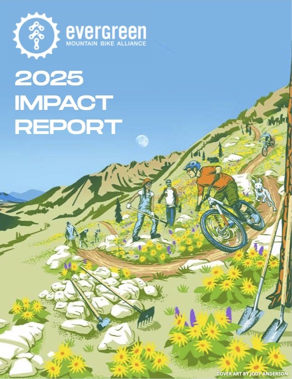 2025 report