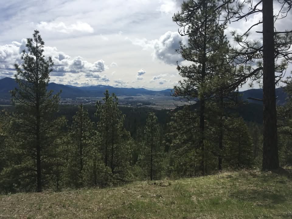 Gold Hill View