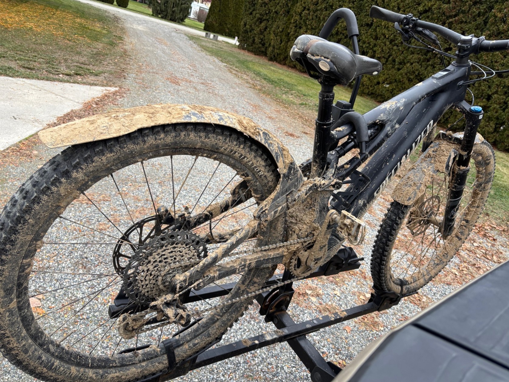 Muddy Dec2025