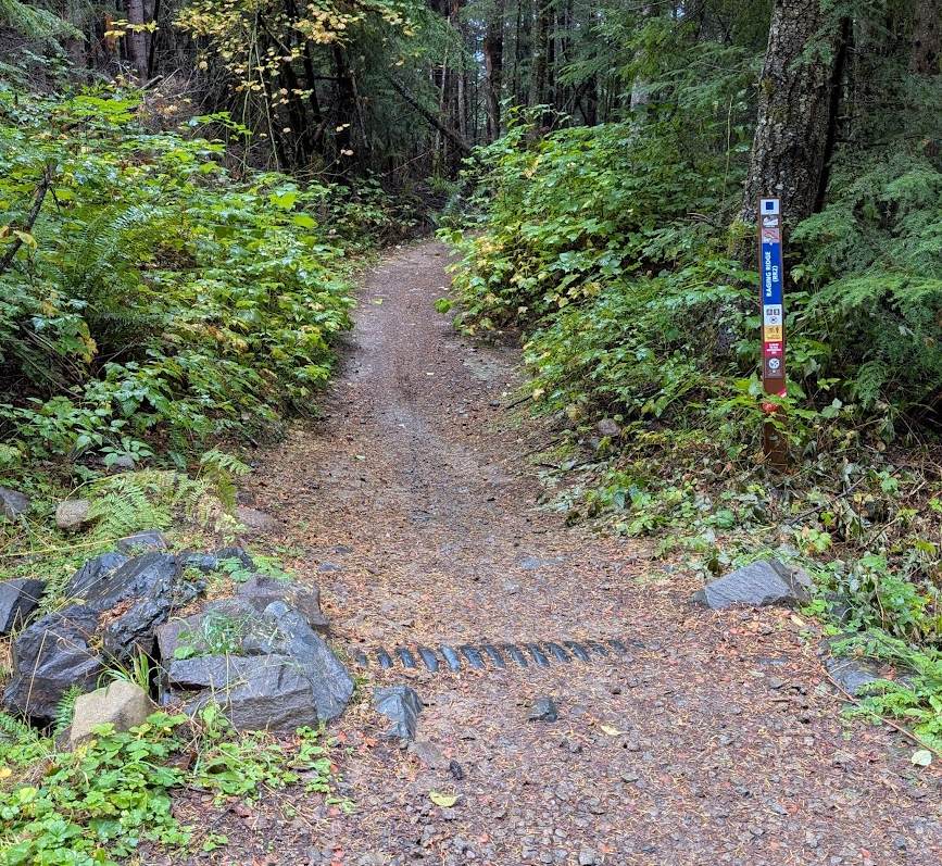 Suntop Singletrack