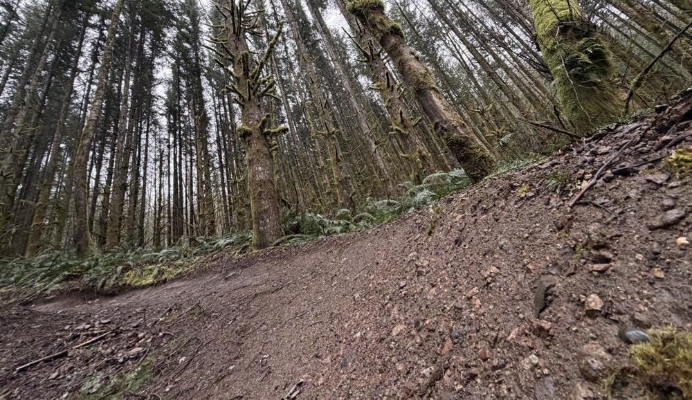 Defining Access for Trails: E-Bikes vs. E-Motos