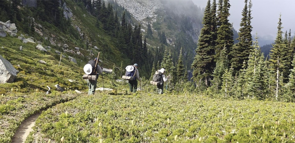 Evergreen helps the Forest Service logout the Pacific Crest Trail in the Glacier Peak Wilderness