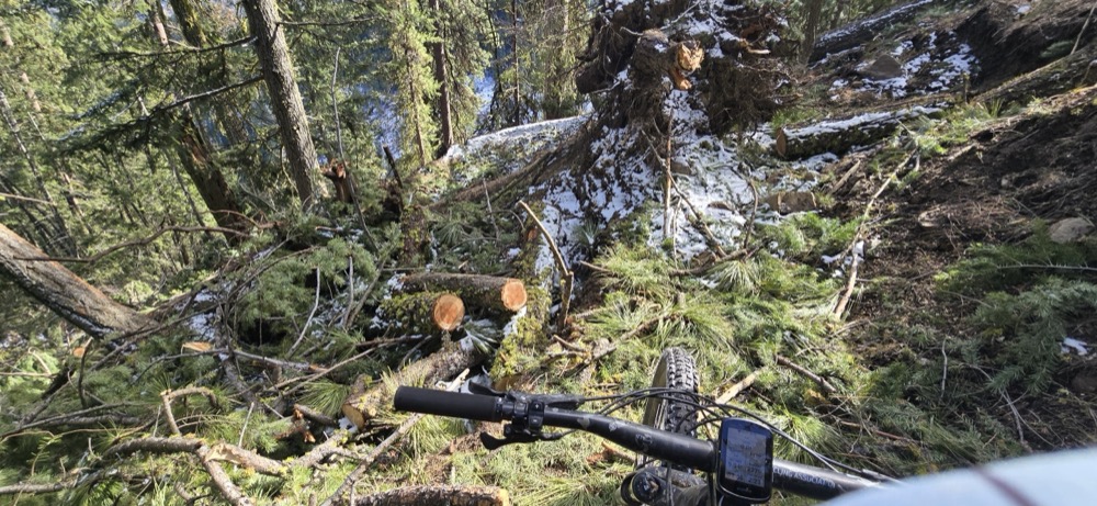 Leavenworth Ski Hill Storm Recovery: Spring 2026