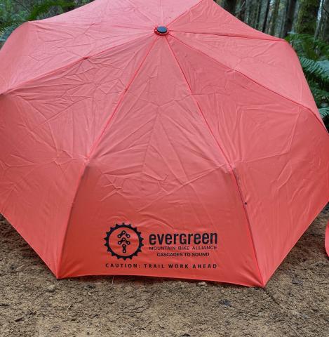 jpeg EG umbrella
