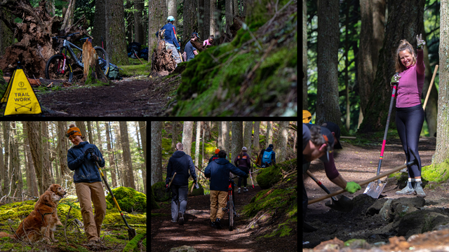 orcasisland workparty blog 2