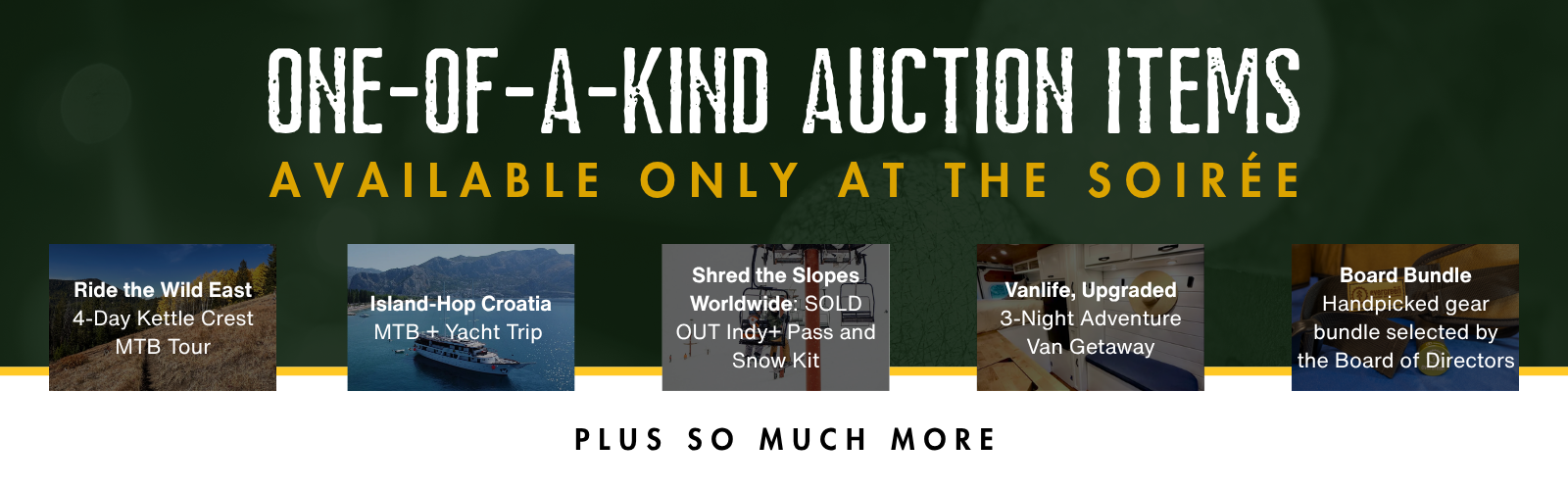 salespage-auctionfeature-1.png